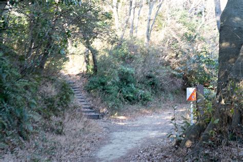 Image result for Simple Example of Iteration