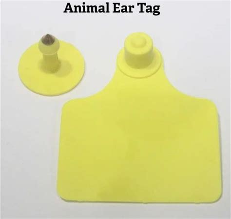 Animal Ear Tag Manufacturer from Manesar