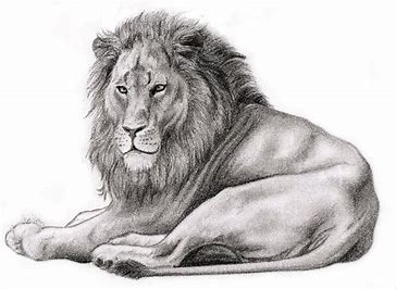 tutorial download pencil sketch apk