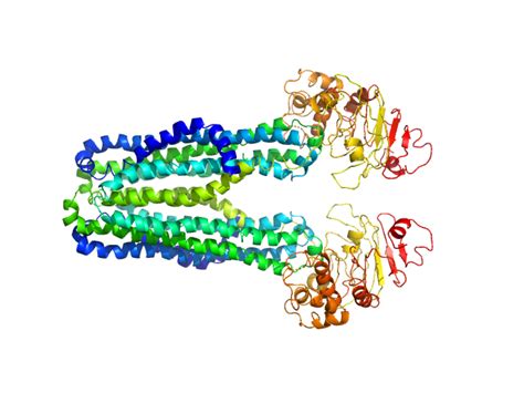 Recombinant Coxiella burnetii Lipid A export ATP-binding-permease ...