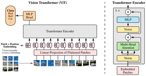 State-of-the-Art Deep Learning Methods for Microscopic Image ...