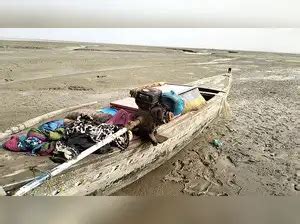 BSF news: BSF seizes 3 Pakistani boats from creek area in Gujarat's ...