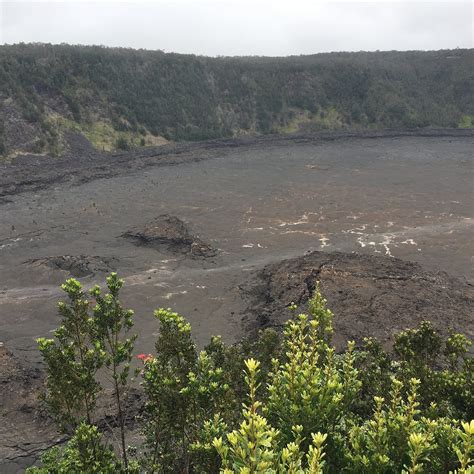 DEVASTATION TRAIL (2026) All You Need to Know BEFORE You Go (with ...