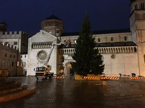 A Trento arriva l’albero di Natale - UnserTirol24