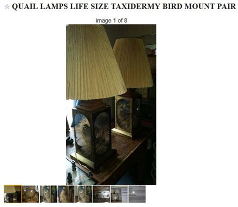 Image result for Craigslist Classified Denver