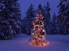 winter holiday how to create a winter photo winter holiday how to create a winter photo