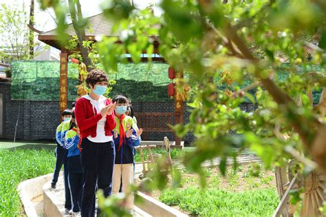 广元这所小学厉害了，在深圳卫视《时间的朋友》跨年演讲中被分享_范家