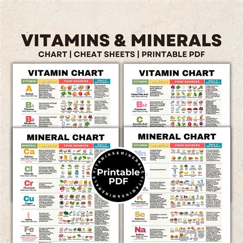 Vitamin & Mineral Chart Cheat Sheets and Visual Guide for All 14 Vitamins, 14 Minerals ...