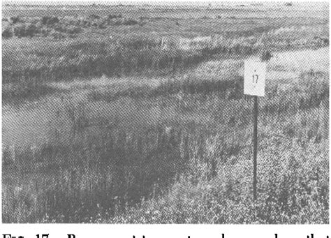 Image result for Ecological Sampling Using a Line Transect