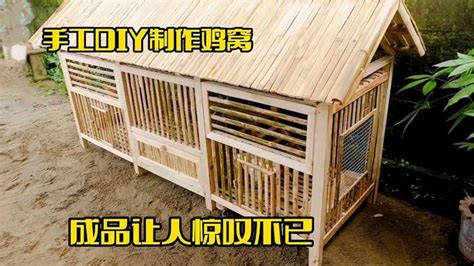 手工DIY制作鸡窝，成品让人惊叹不已，邻居直接出价1000，我不卖-生活视频-搜狐视频