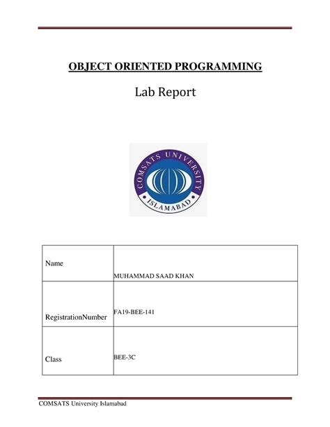 Image result for Programming Lab Report Format