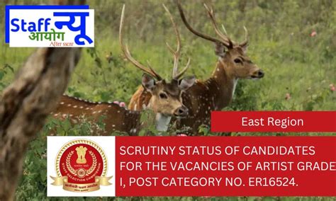 Scrutiny Status of candidates for the vacancies of Artist Grade I, Post ...