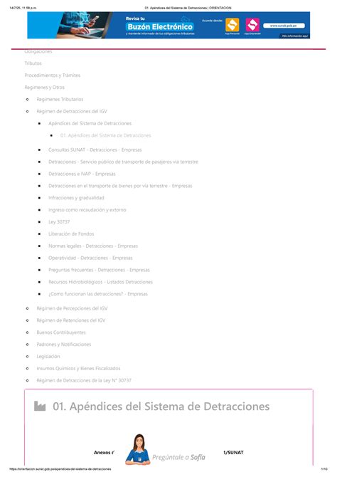 01. Apéndices del Sistema de Detracciones - Orientación y Normativa ...