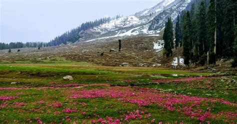 Filmmakers restoring golden era of film shooting in J& maiden film ...