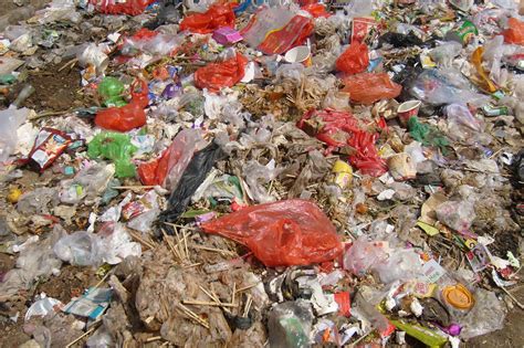 Garbage Disposal Final Destination 的图像结果