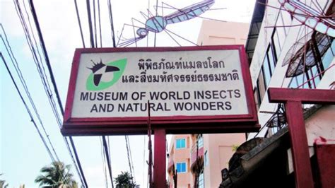 Museums In Chiang Mai: Explore From Lanna Traditions To Modern Art