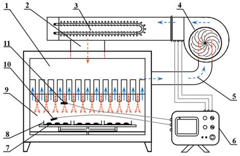 Hot Air Impingement Drying Enhanced Drying Characteristics and Quality ...