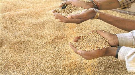 Gwalior News: मध्य प्रदेश में 30 लाख प्रवासी मजदूरों की राशन पर्ची अटकी ...