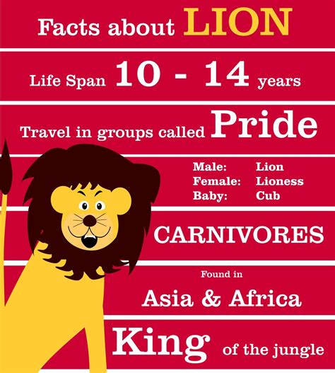 Interesting facts about lion for kids education | Lion facts for kids ...