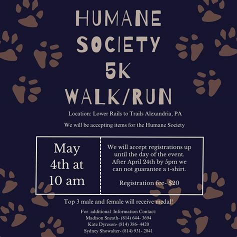 Meet Gracie at the Huntingdon Co. Humane Society | WTAJ - www.wtaj.com