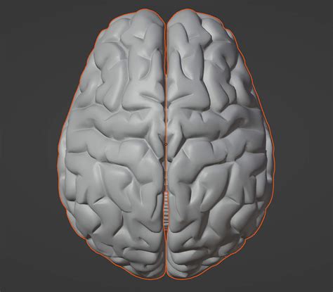 3D Model of Human Brain V2 by azekapeka