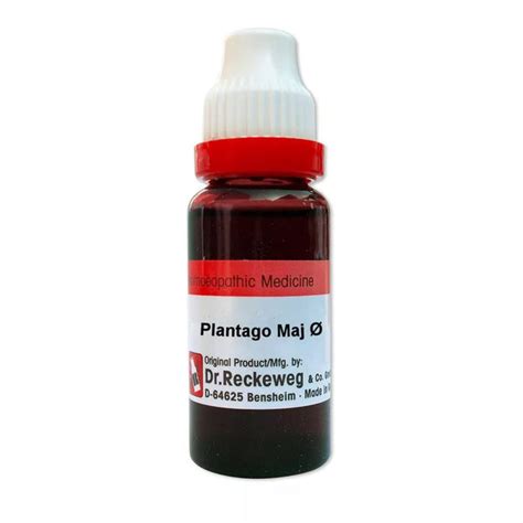 German Plantago Major Mother Tincture Q. 20ml. Buy online – Homeomart