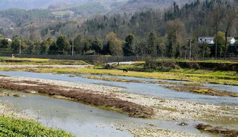 汉江的“发源地”——陕西宁强汉水源国家湿地公园-陕西湿地-图片