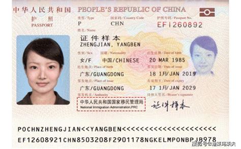 怎么查自己的护照号(出入境证件号码查询)-优刊号