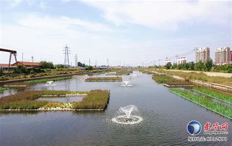 漂亮！东营区在重点河道建设人工生态浮岛净化环境水质-新闻中心-东营网