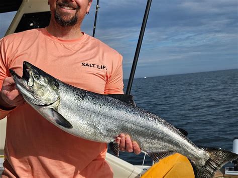 NIAGARA FISH ASSASSINS (Updated 2026) All You Need to Know BEFORE You ...