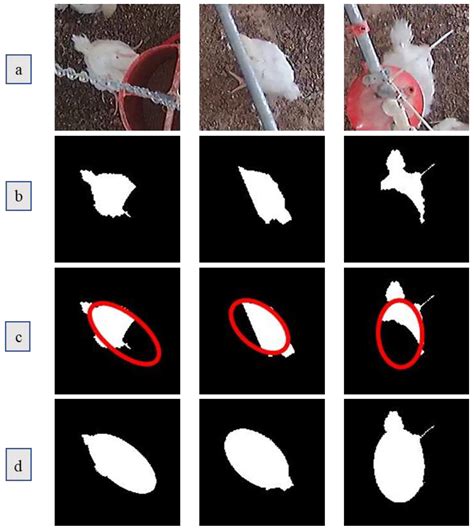 A Machine Vision-Based Method Optimized for Restoring Broiler Chicken ...