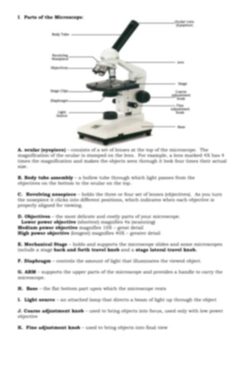 Microscope Parts And Functions Worksheet 50+ Plant Parts And Their