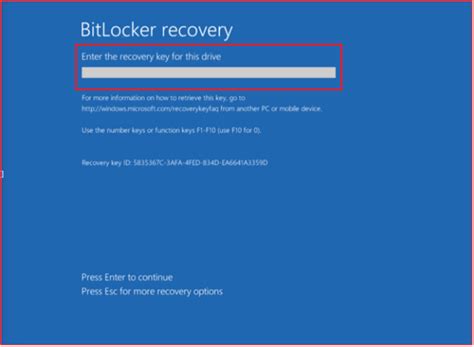 Image result for BitLocker