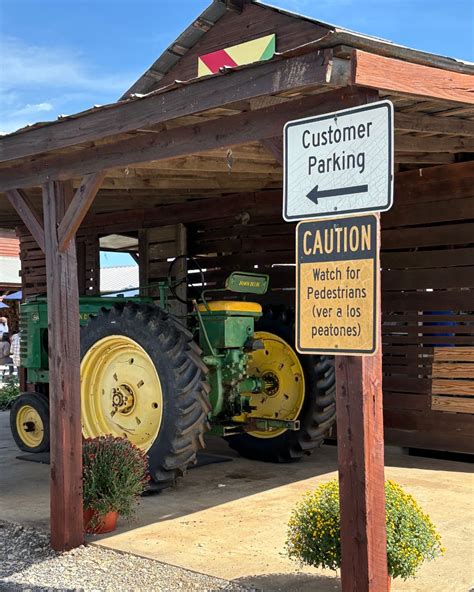 Pick Pumpkins & Play at Bush-N-Vine Farm in York, SC