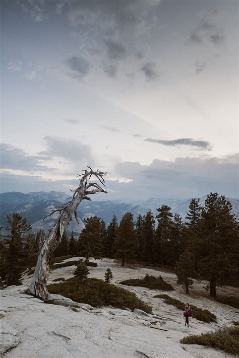 Morning Sentinel Obituaries - Surveys Hyatt