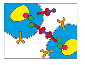 Scientific Figure Example 的图像结果