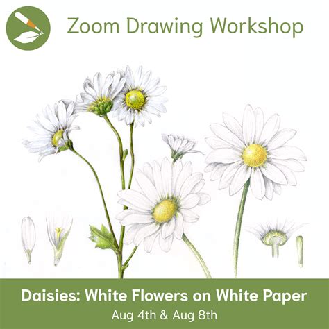 How to Draw Flowers That Feel Real - Draw Botanical LLC