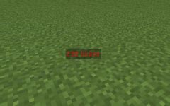 How to Use Reach Display Mod 的图像结果