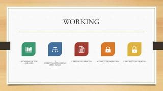 Triple Des Decryption 的图像结果