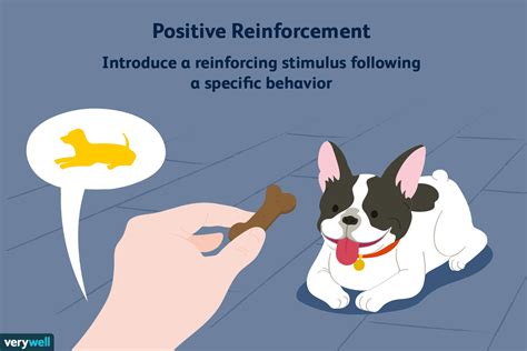 Image result for Operant Conditioning Examples in Classroom