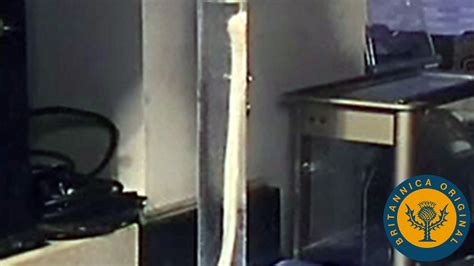 Image result for Bone Function