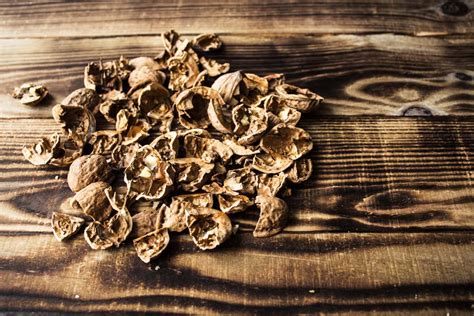 Image result for What Is MySQL Shell