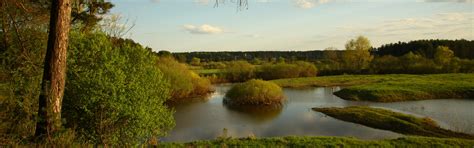 Download wallpaper the sky, nature, river, stay, landscapes, walk, pine ...