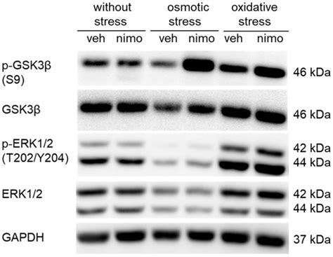 IJMS | January-2 2025 - Browse Articles