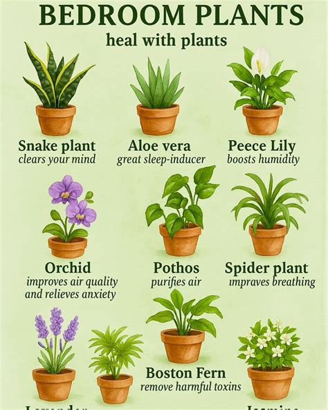 Best 12 200+ Funny Names for Plants in 2024 – Artofit