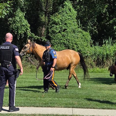 Park Ridge Nj County