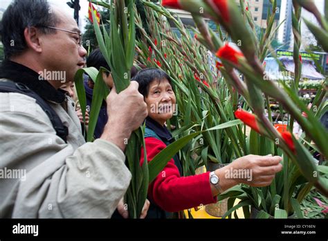 Visit the Flower Market in New Year 的图像结果