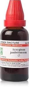 Buy Dr Willmar Schwabe Syzygium Jambolanum Q 30 ML (Pack of 2) Online ...