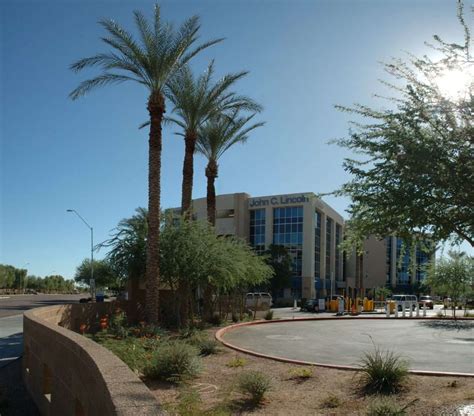 John C Lincoln Deer Valley Medical Office Building III - AAA Landscape