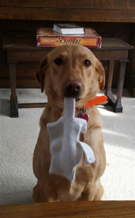 James 3:10 - Bible Verse of the Day